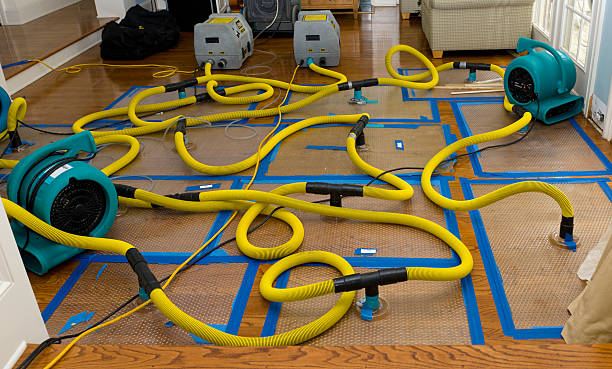 Professional Crawl Space Water Removal technician working in Fredericksburg, IA